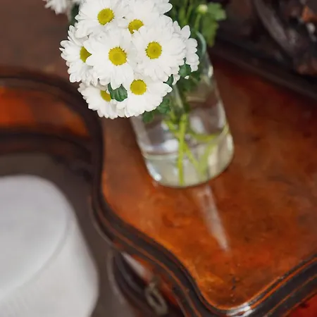 B&B Universita Nocleg ze śniadaniem 4*